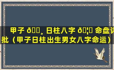 甲子 🌸 日柱八字 🦟 命盘详批（甲子日柱出生男女八字命运）